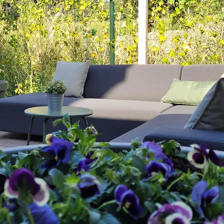 Villa Wellness Voor 10 Personen Met Sauna&hottub *
